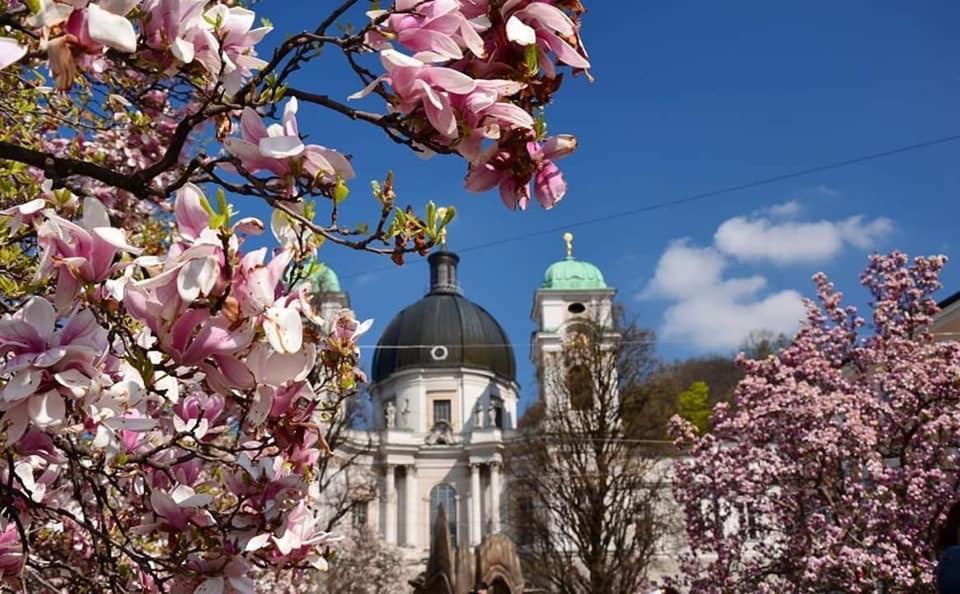 Hotel Vogelweiderhof Salzburg Exterior photo